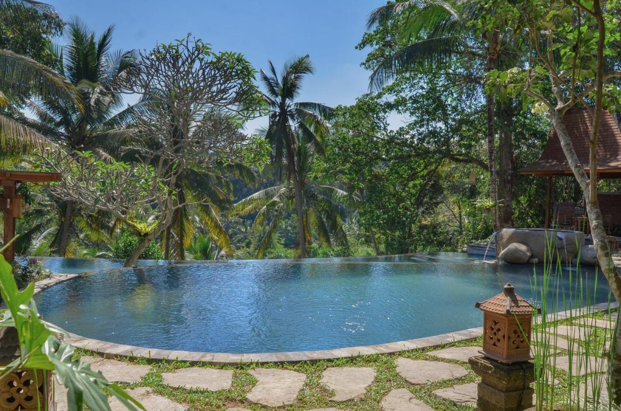 Suite Pool View