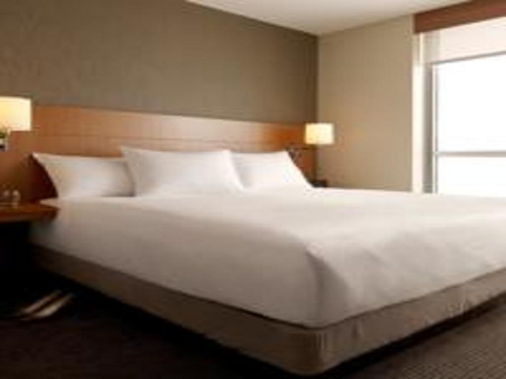 King Room with Sofa Bed and Accessible Tub - Disability Access