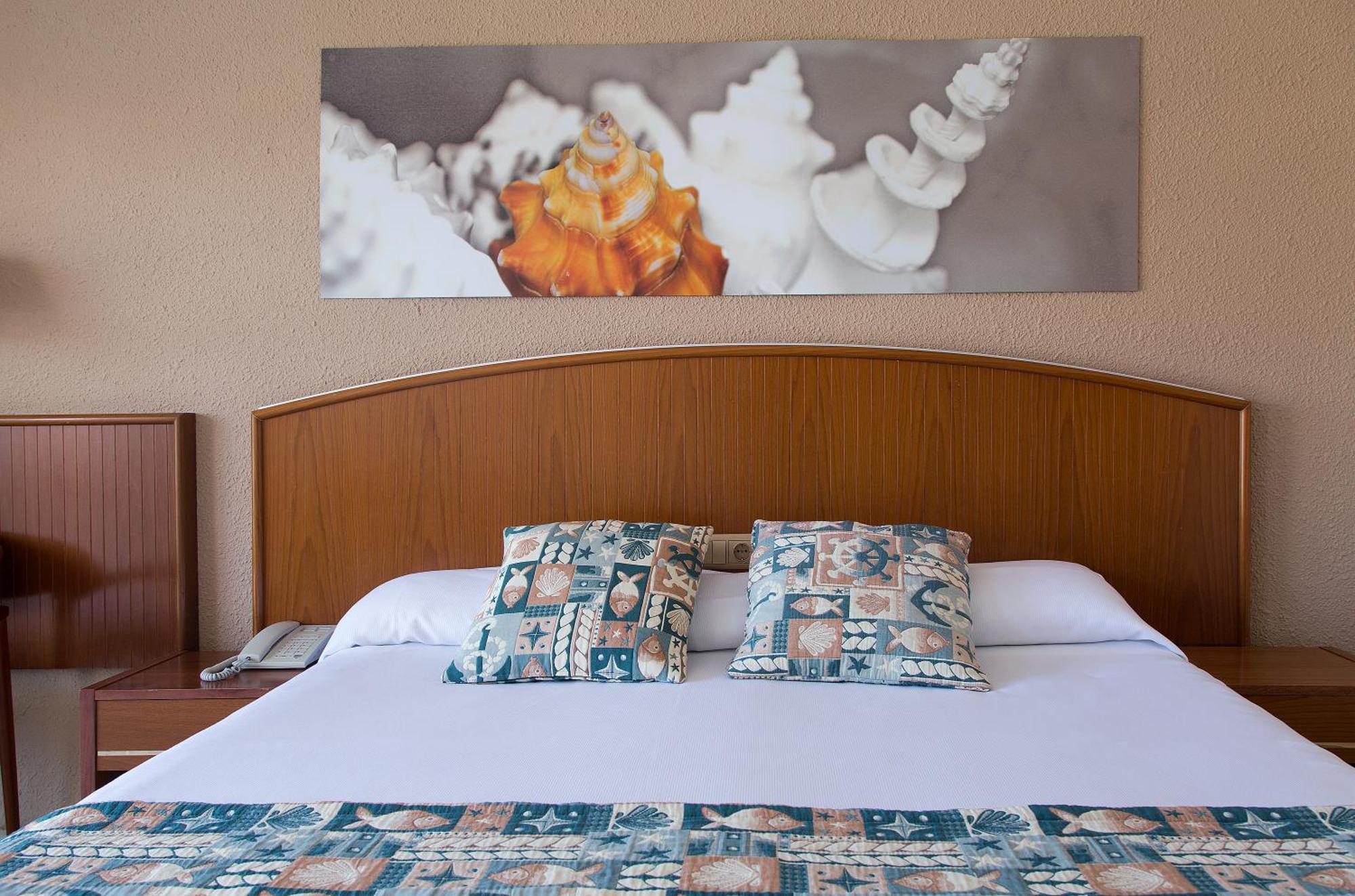 Single Room,1207894369:JPEG