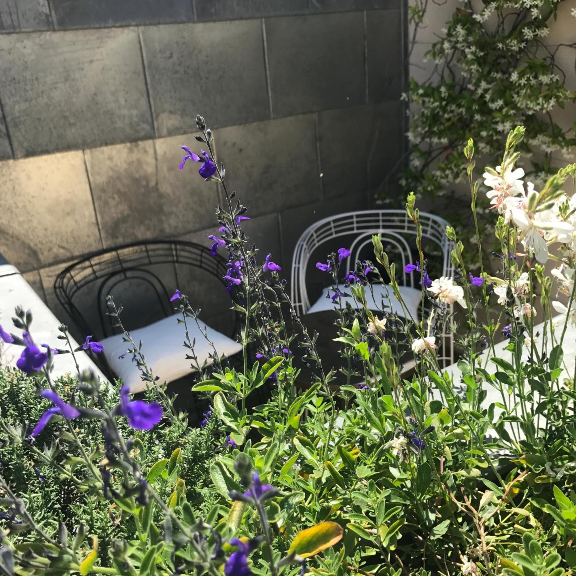 Classic Double Room Terrace "Room 64"
