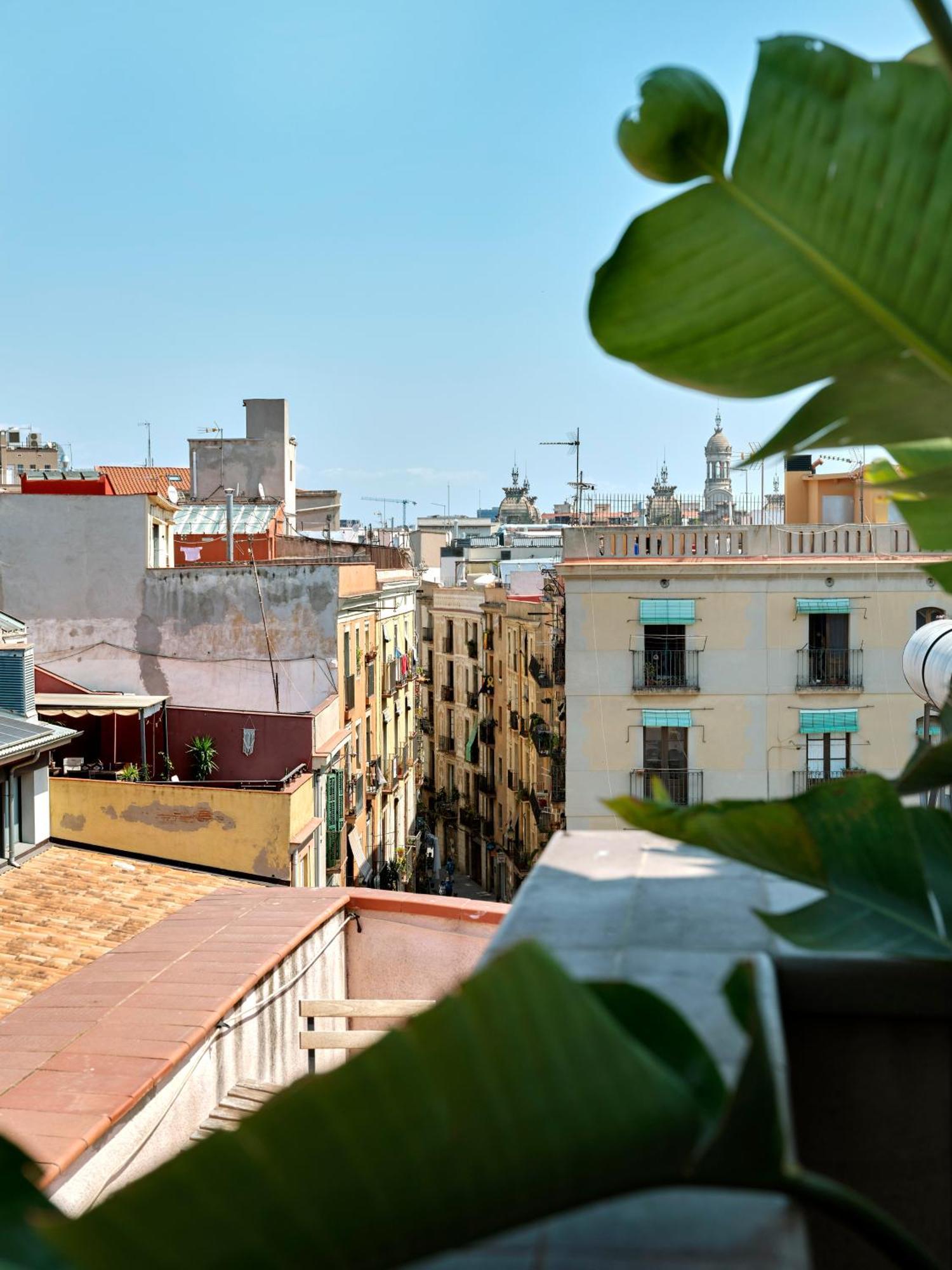 Juniorsuite med terrasse
