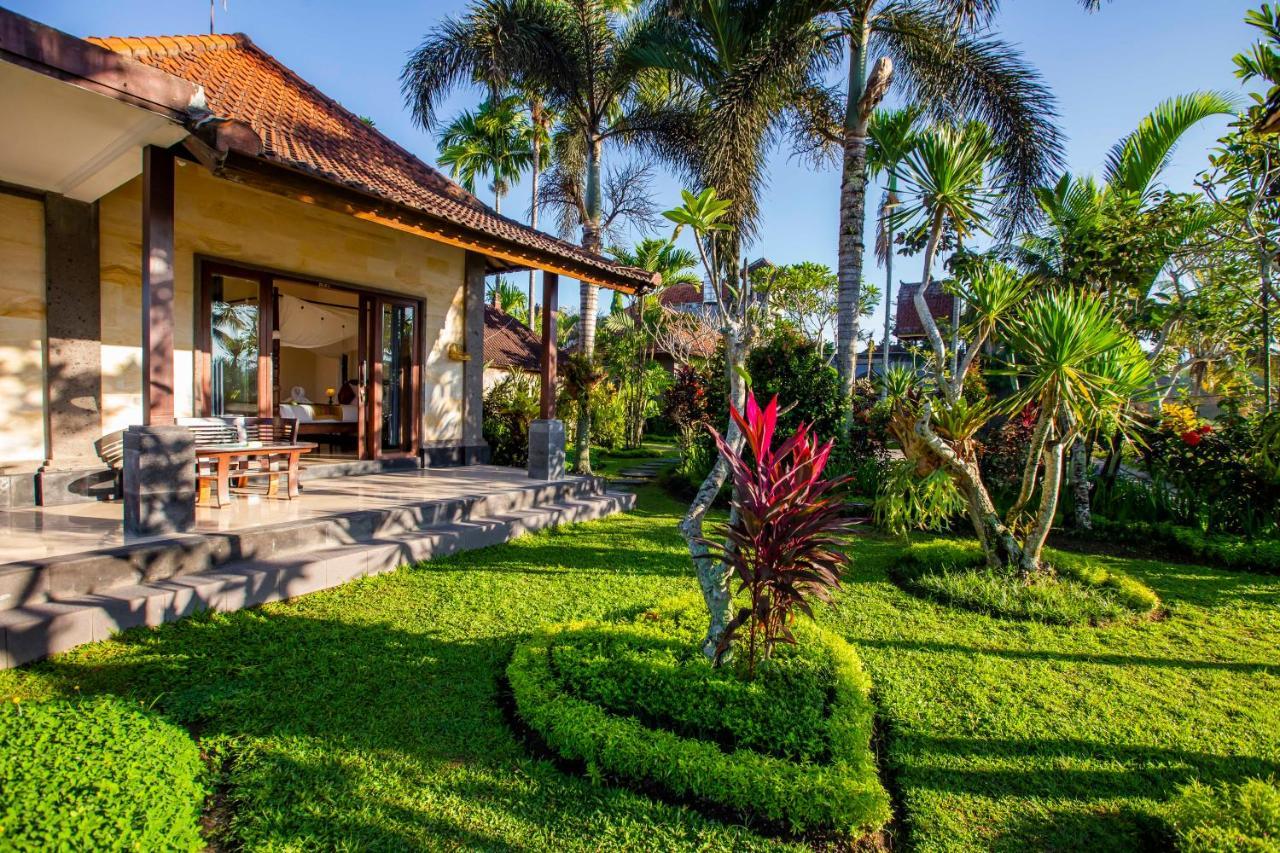 Villa Deluxe med 1 soverom