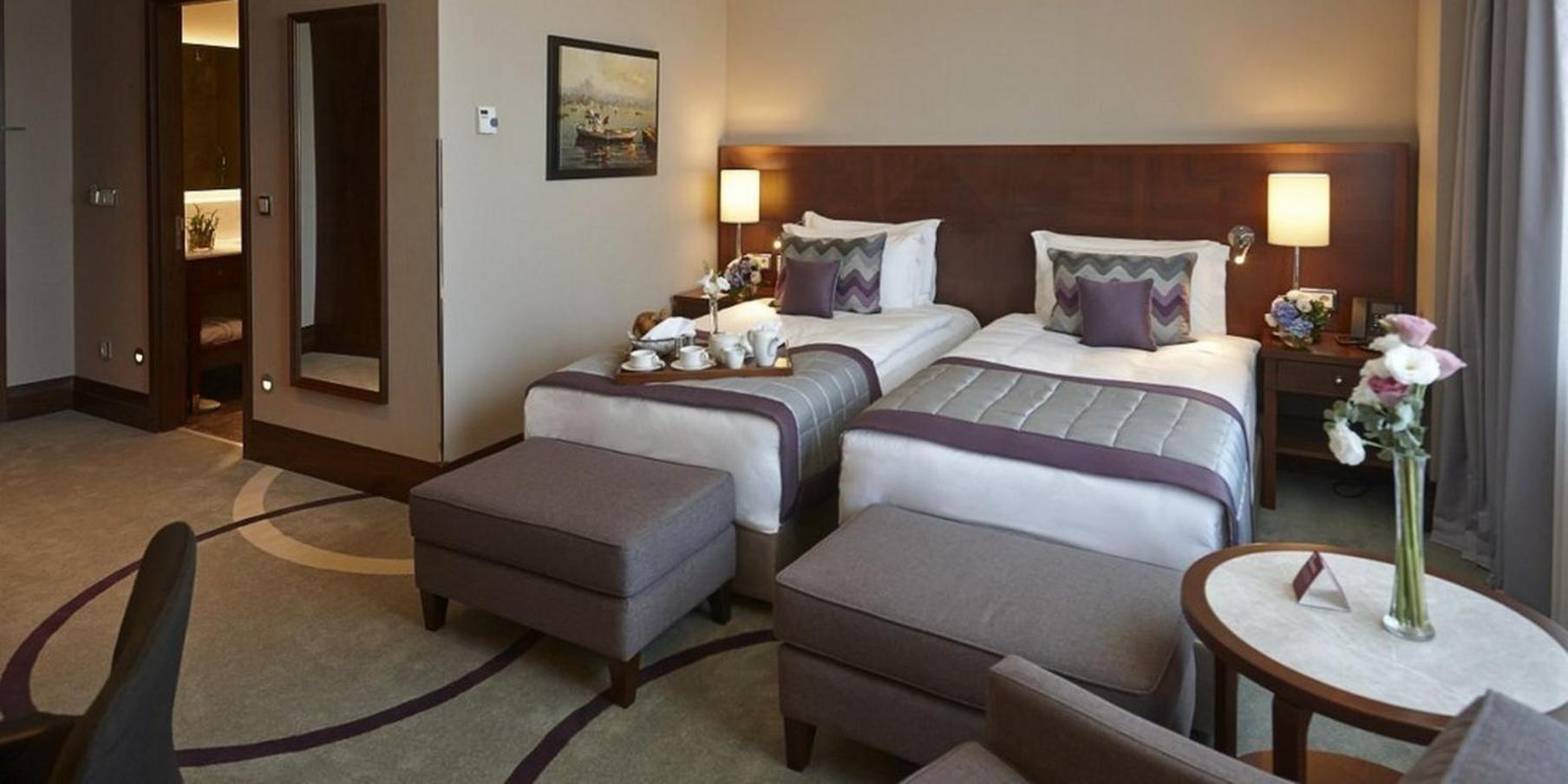 Standard Room,1275010333:JPEG