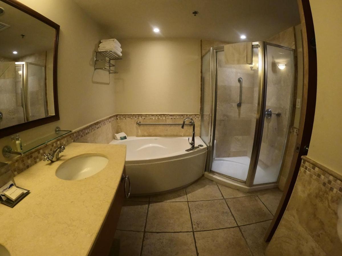 Executive Studio Suite