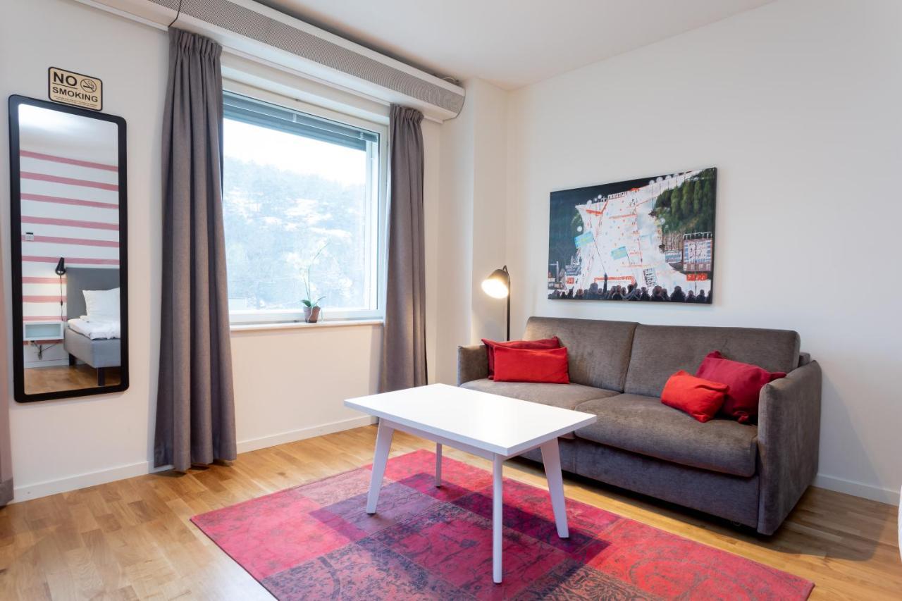 Ettromsleilighet med sovesofa