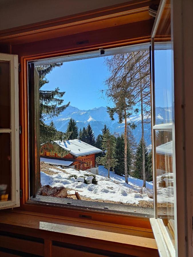 Double Room Ground Floor