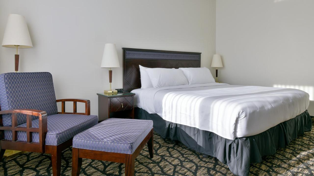 Queen Room,1377095624:JPEG