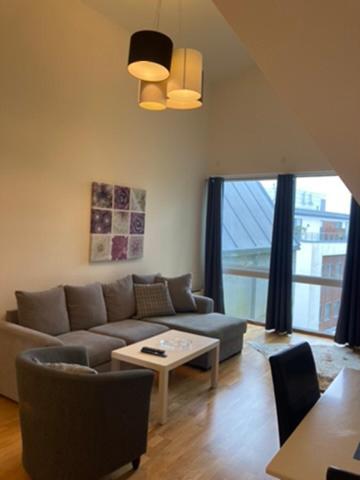 Stor leilighet med 1 soverom