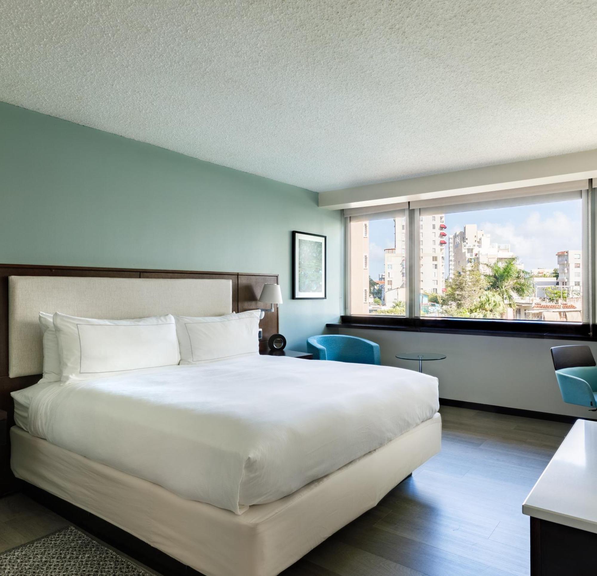 King Room Garden View