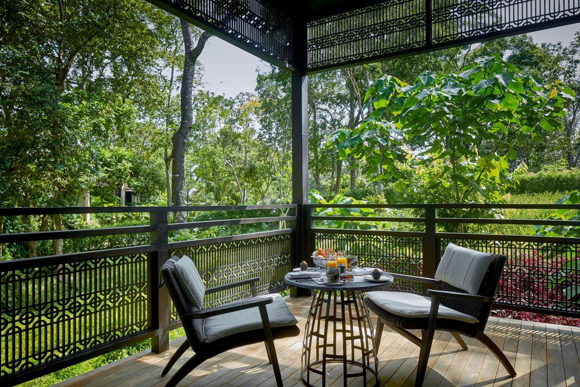 Juniorsvit Rainforest