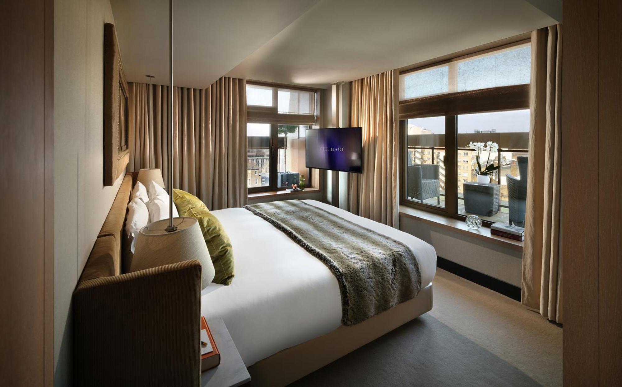 The Hari Suite