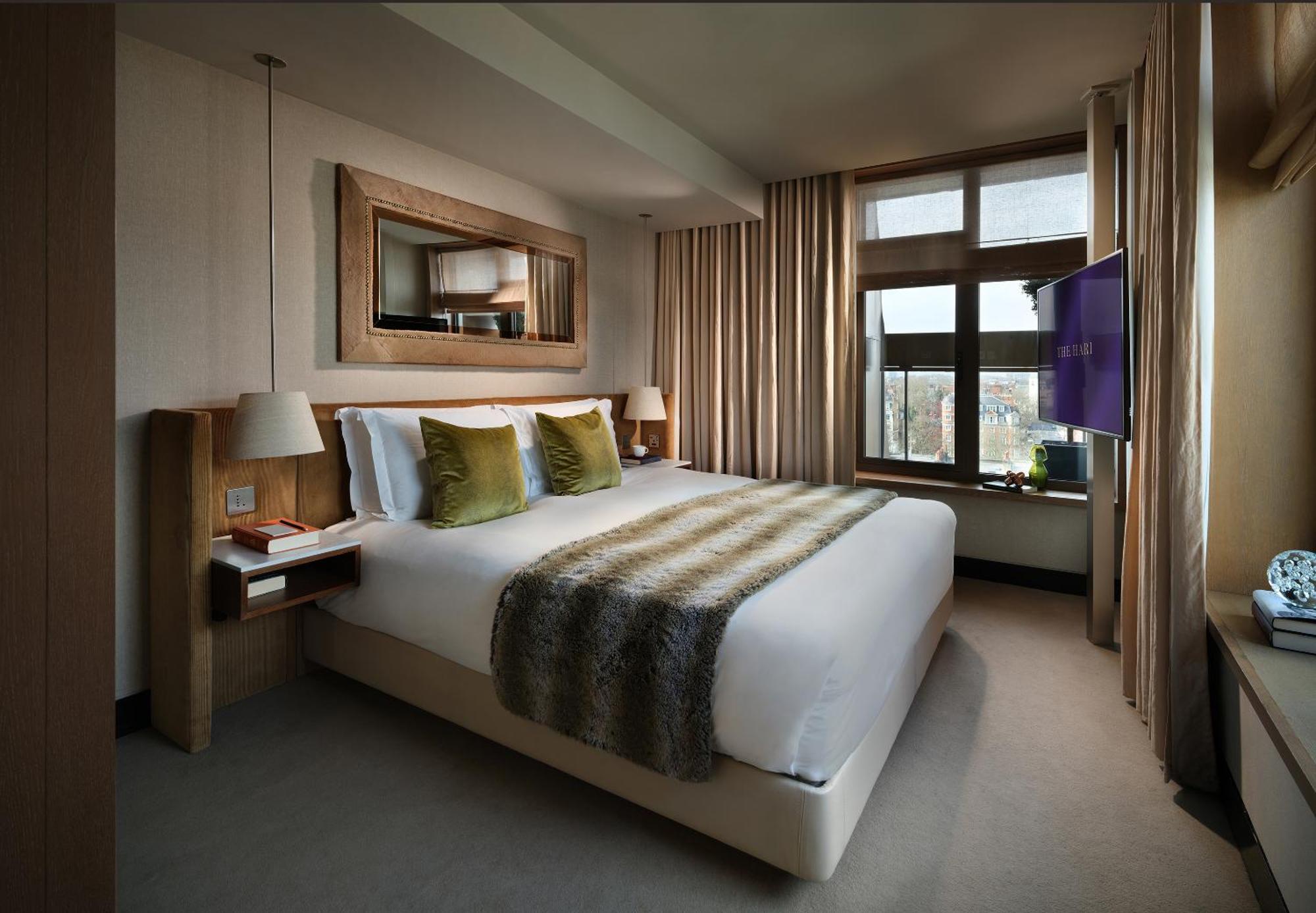 The Hari Suite