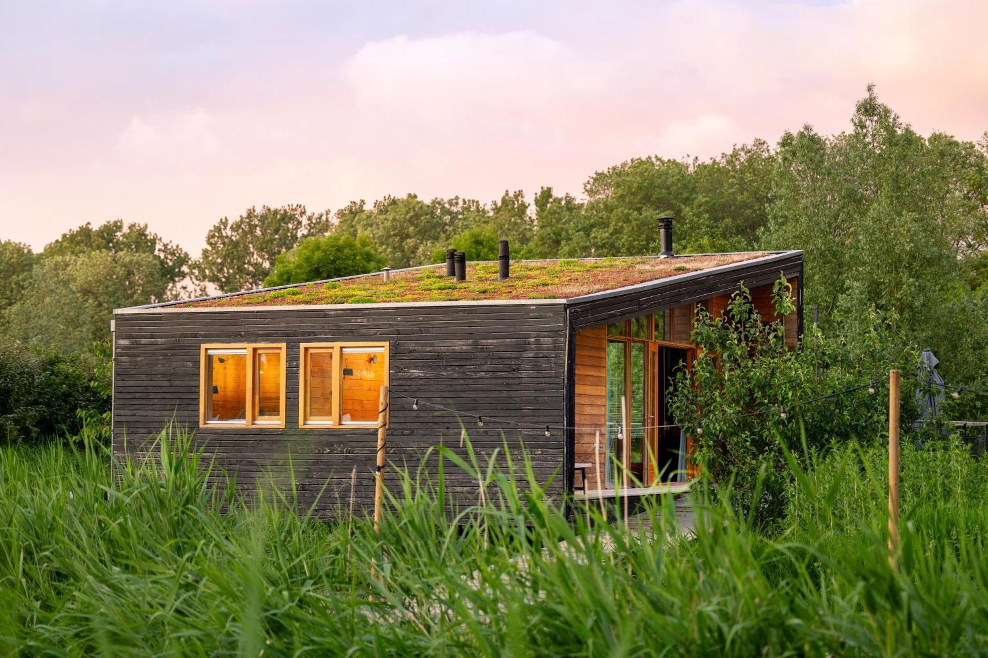 Deluxe-bungalow med udsigt over haven