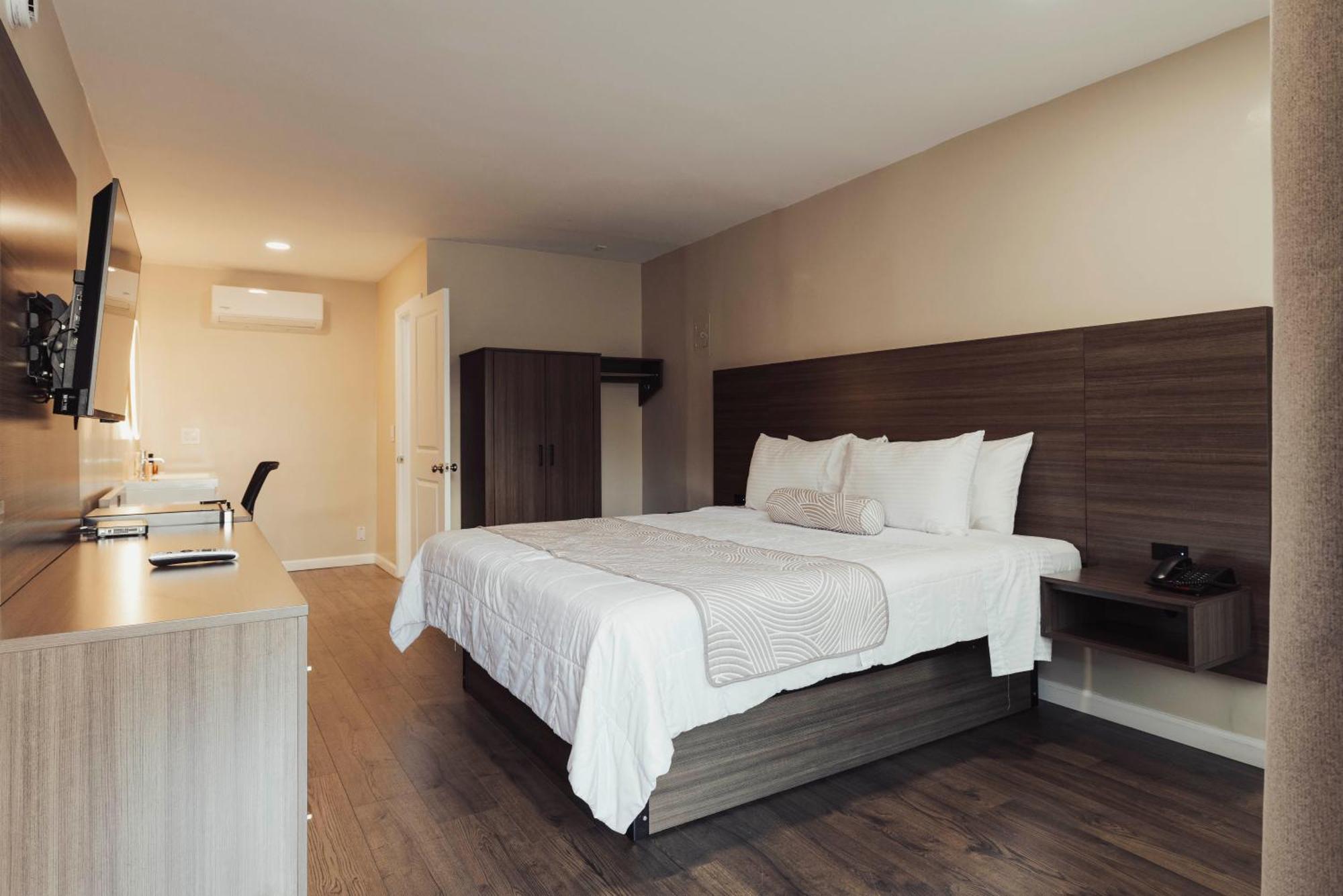 Signature Room 1 King Bed,1642317599:JPEG
