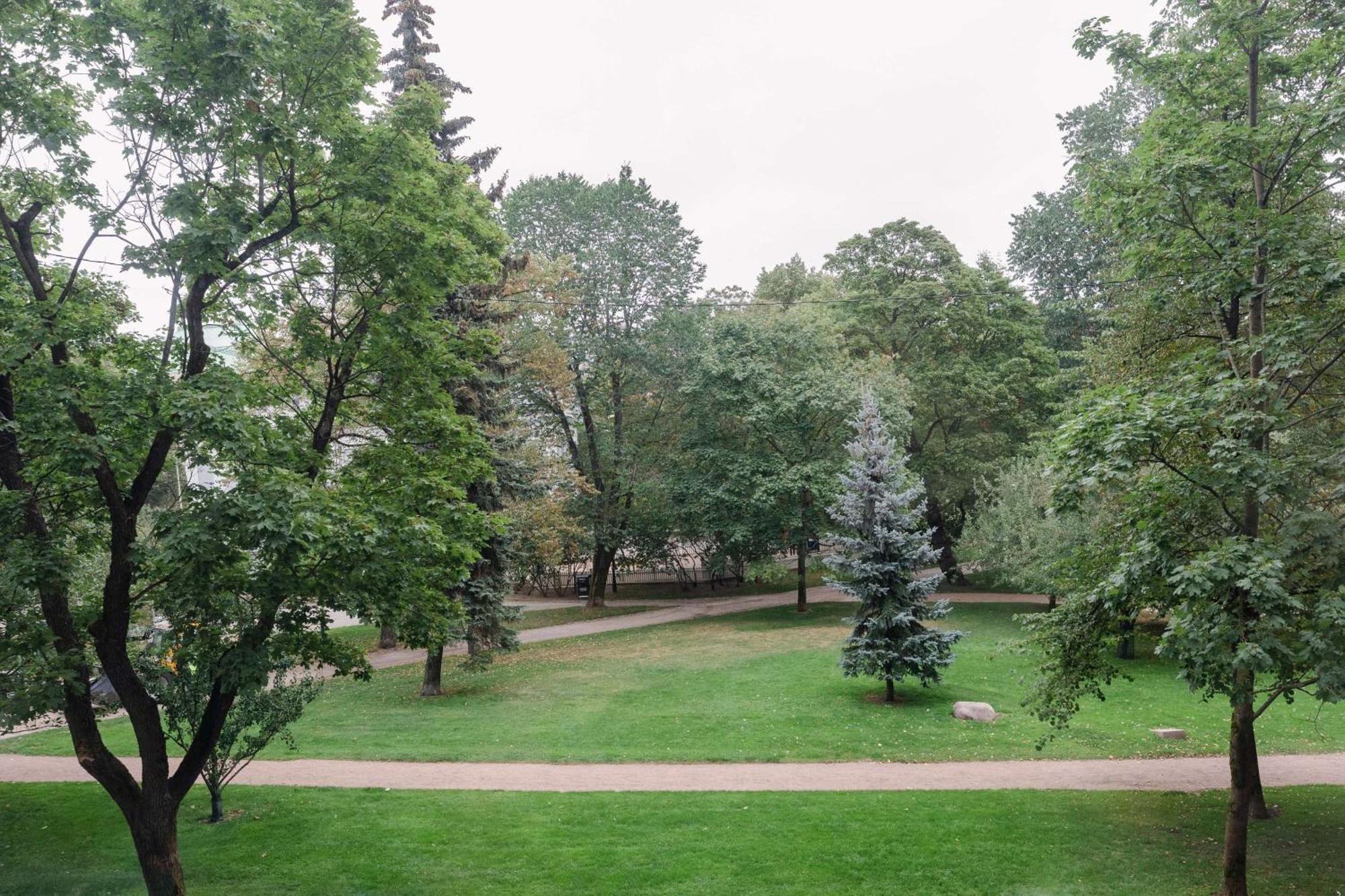 Superior King Room,1650051587:JPEG