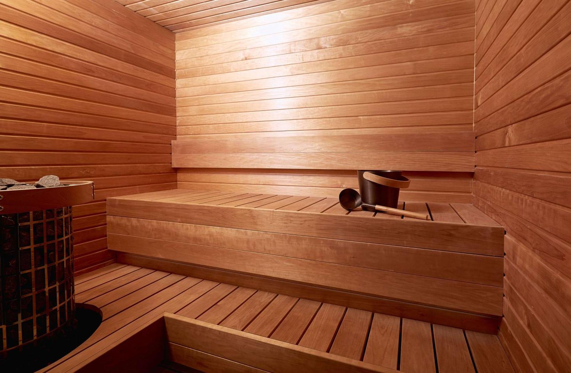 Deluxe One-Bedroom King Suite Sauna