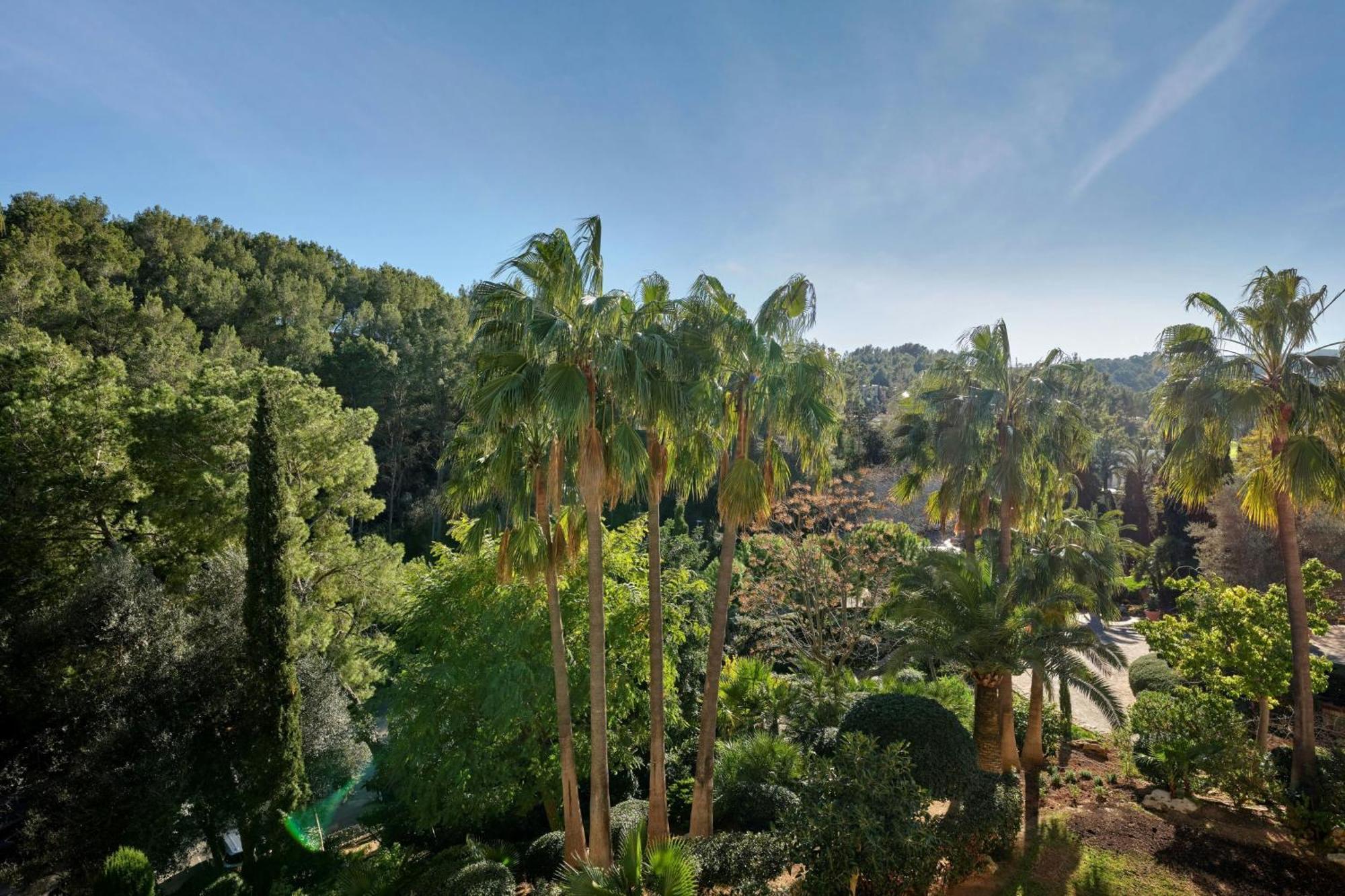 Junior Suite Resort View