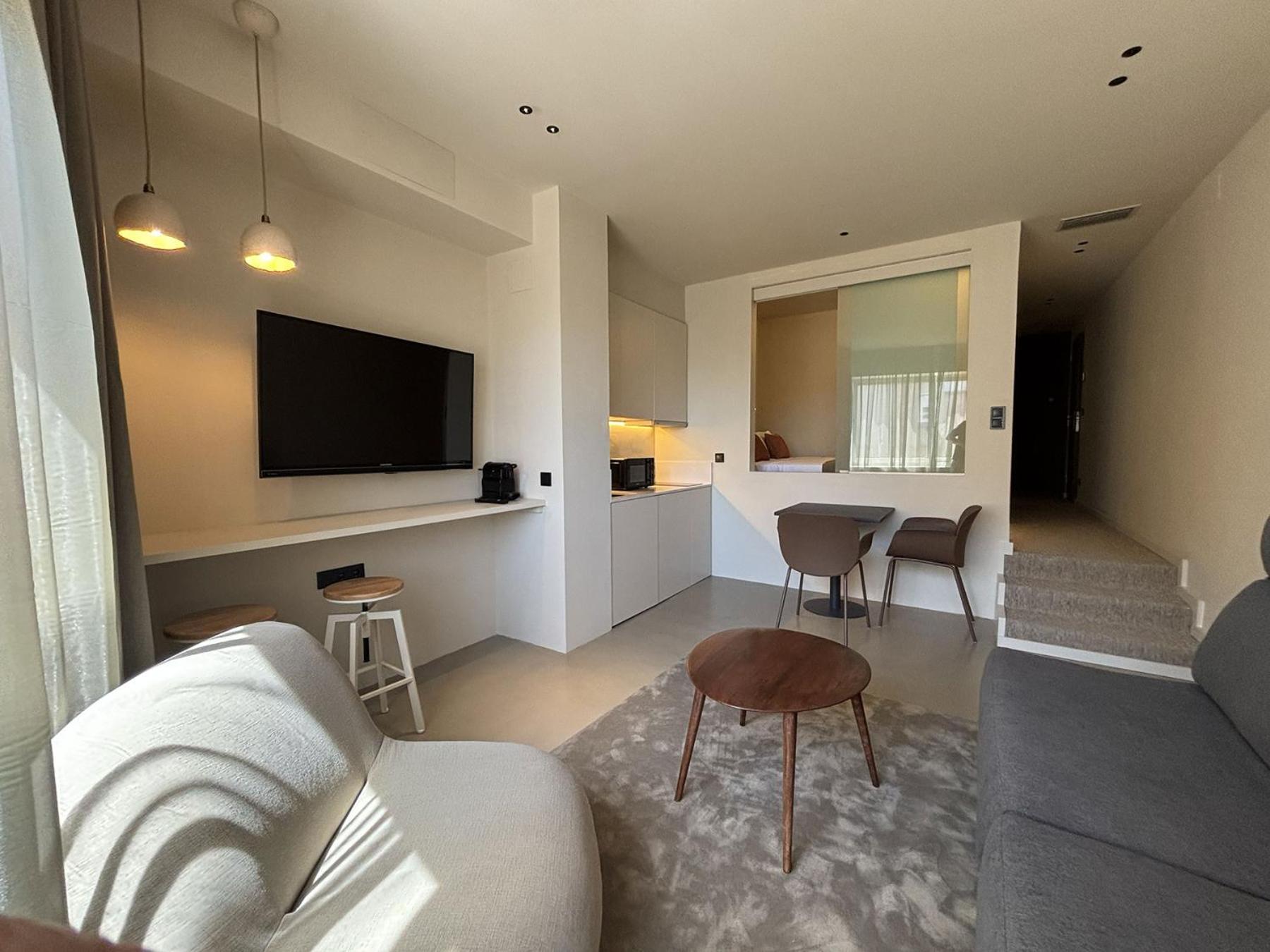 One-Bedroom Superior Apartment,1674699069:JPEG
