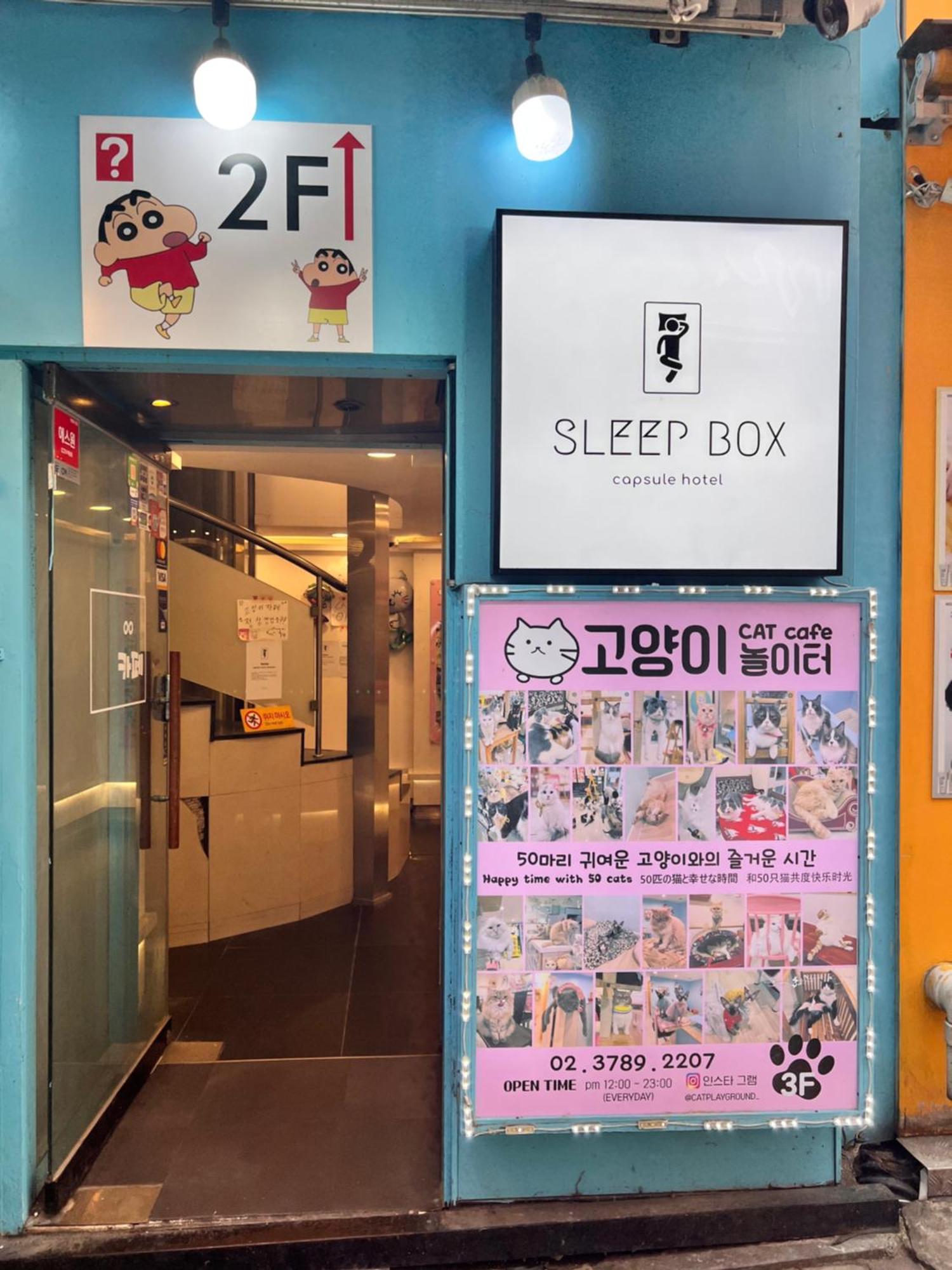 Lower Bunk Bed in Mixed Dormitory Room,1681602527:JPEG