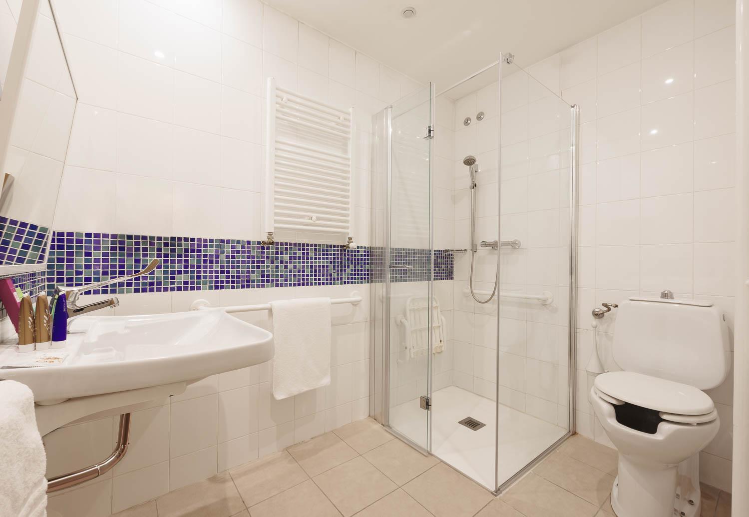 Single Room Disability Access