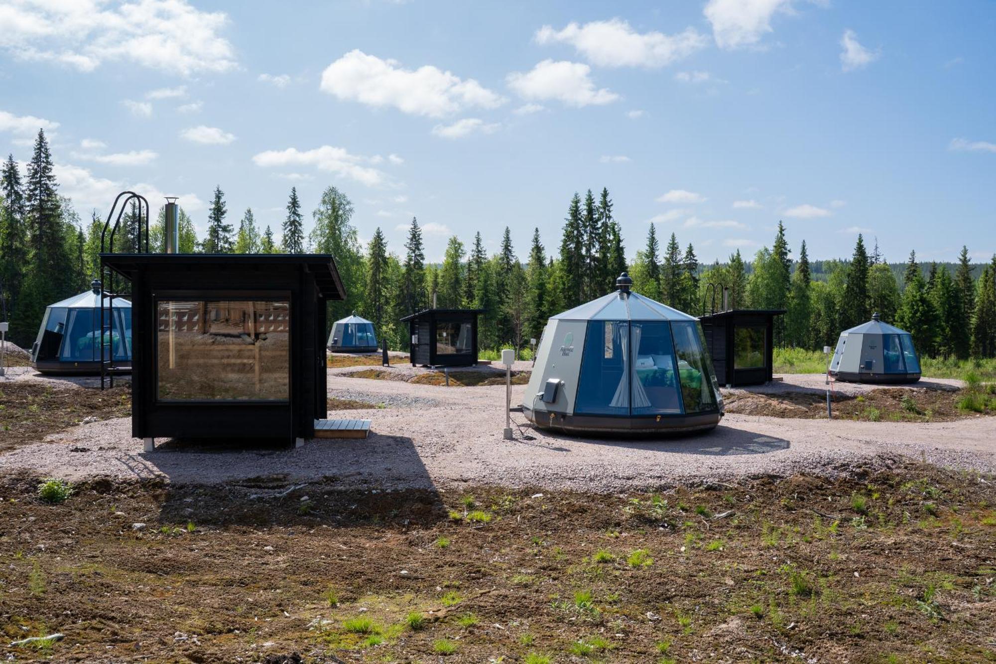 Aurora Hut