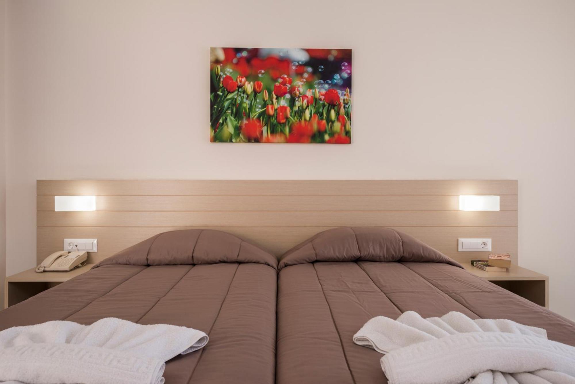 Standard Double Room,1746843654:JPEG