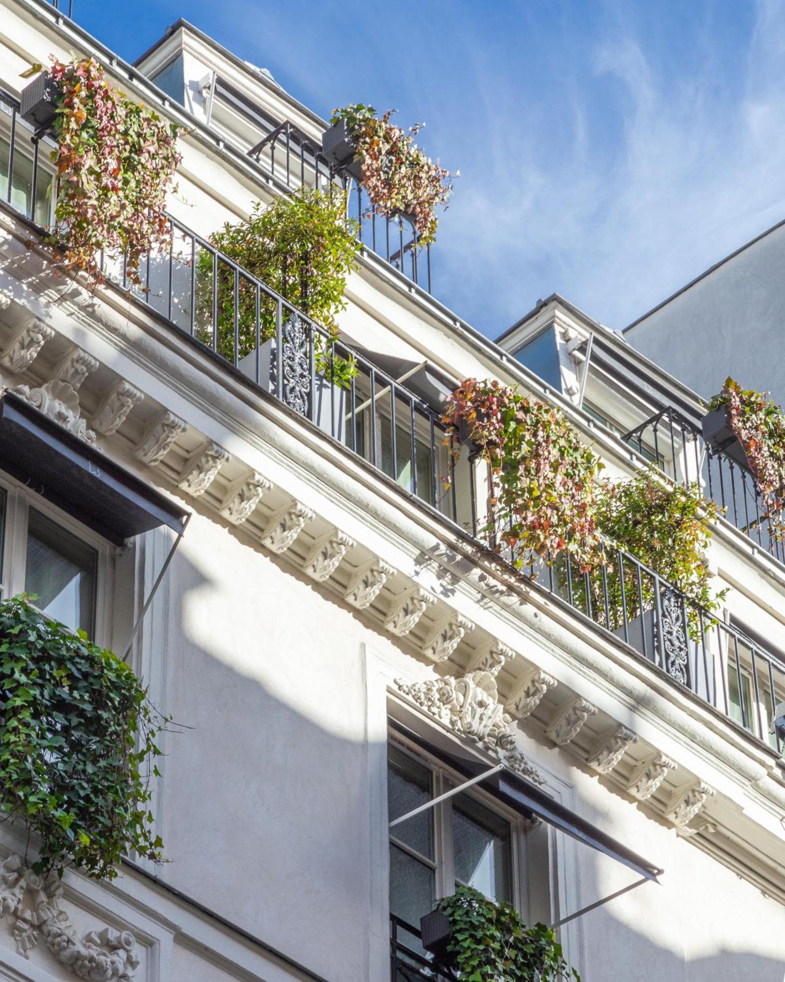 Deluxe Double Room Balcony