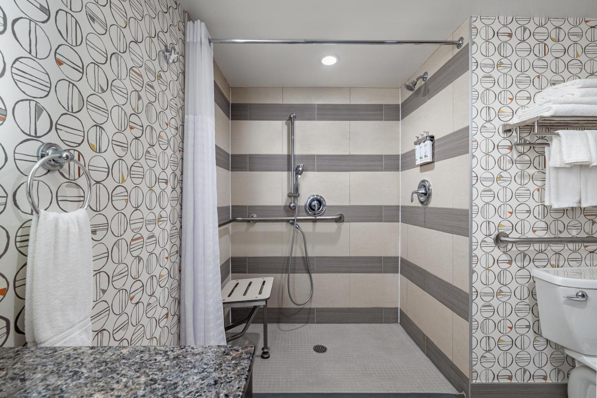 Standard Queen Room Mobility Accessible Roll Shower