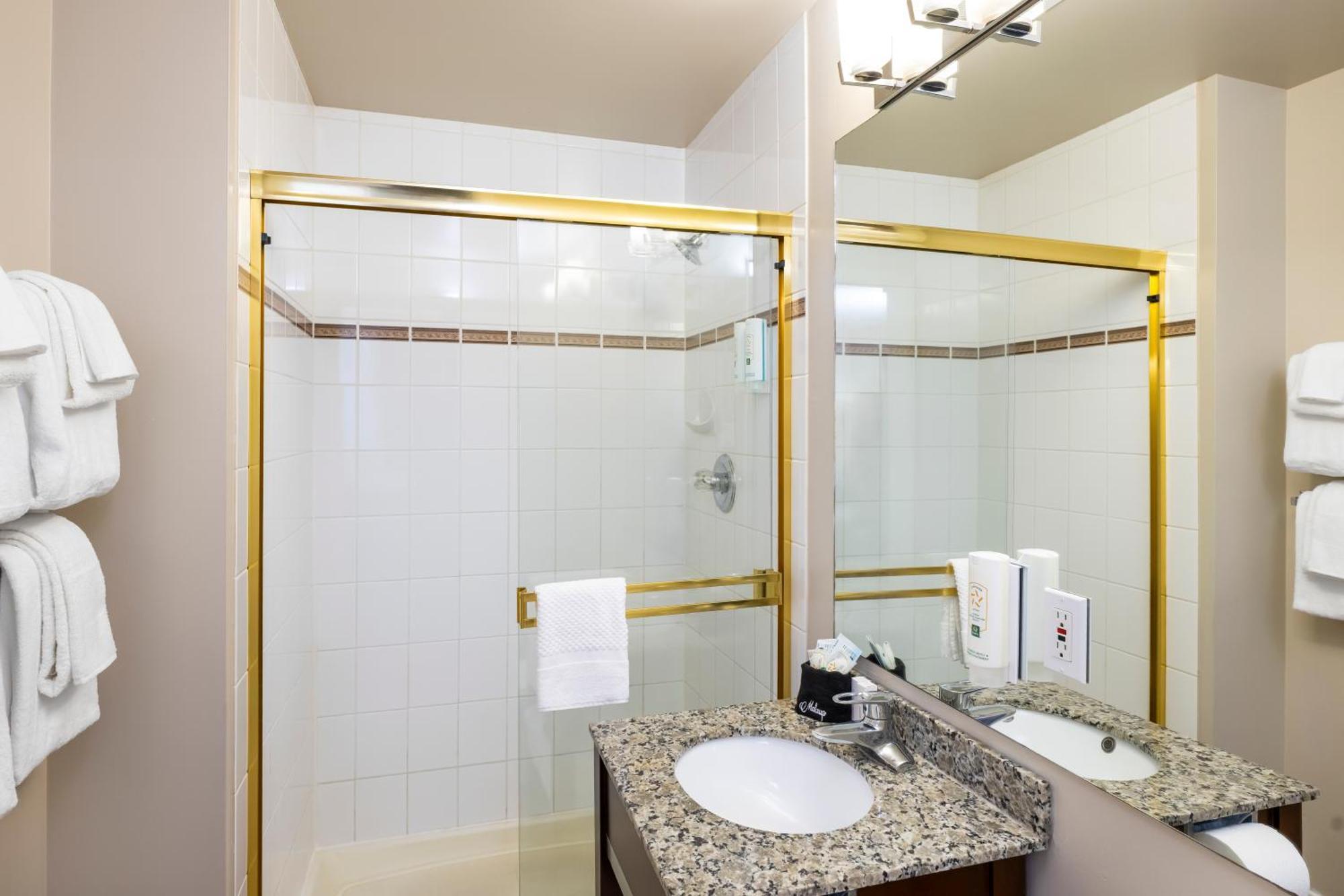 One-Bedroom Queen Suite Non-Smoking