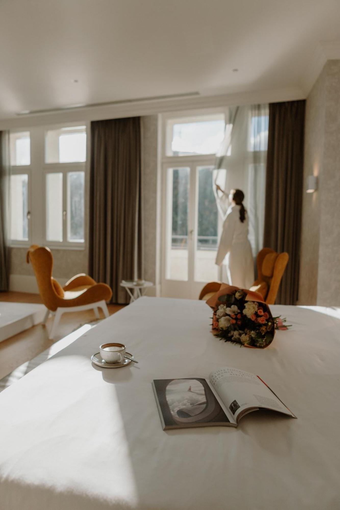 Presidential Suite Danube view