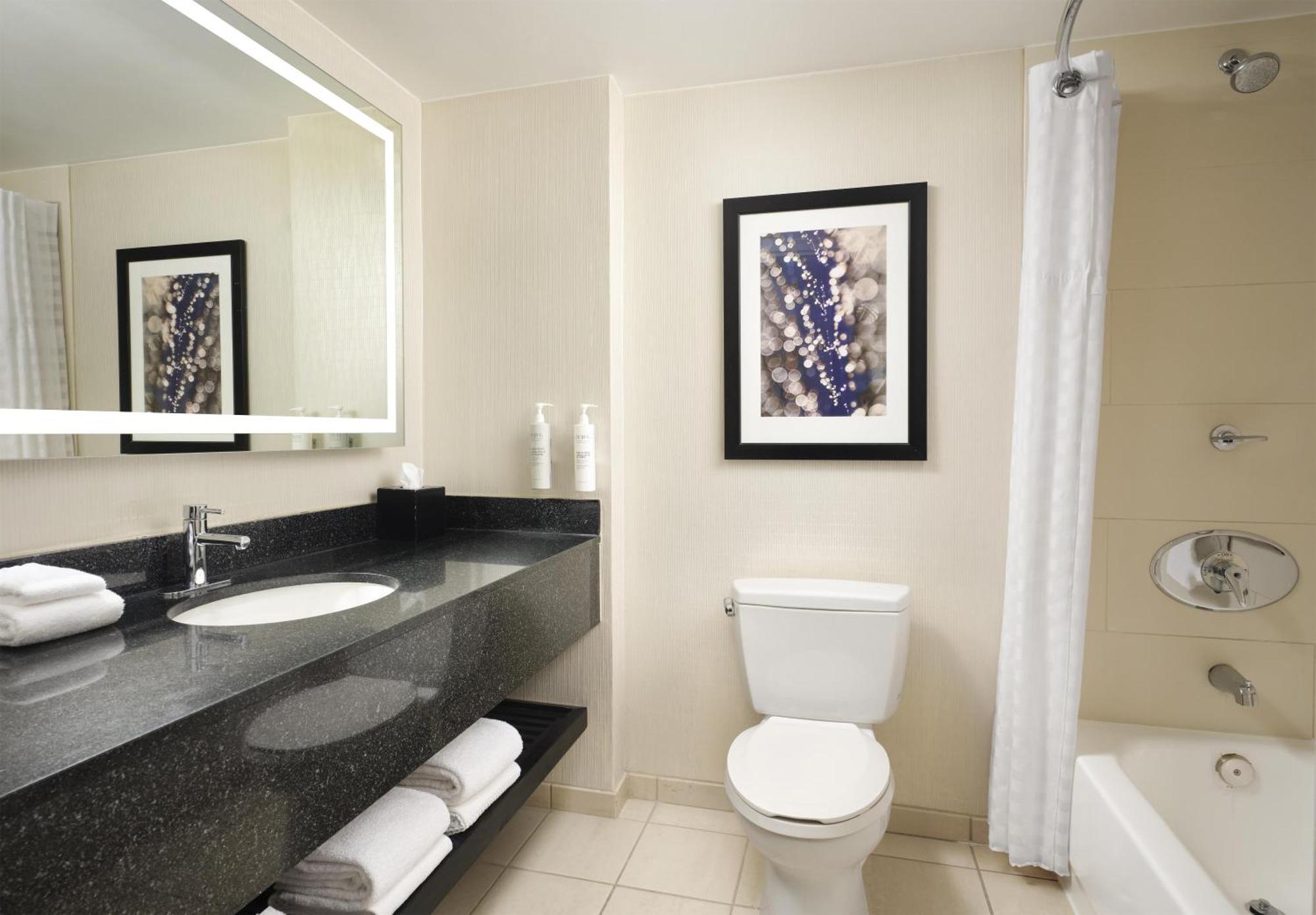 One-Bedroom King Suite Hearing Access or Non-Smoking