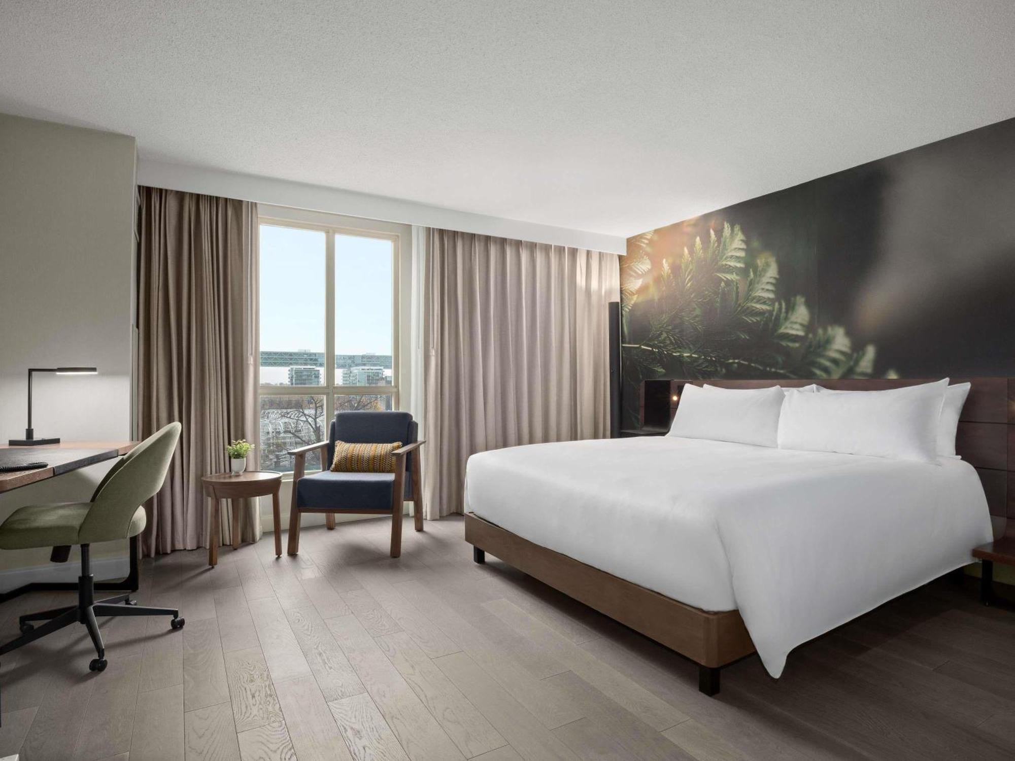 Executive King Room Renovated