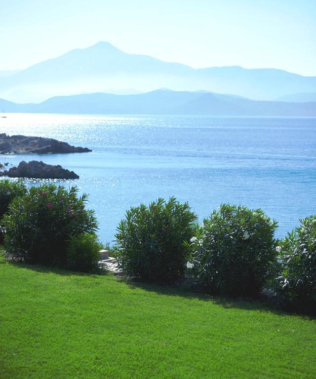 Bungalow Sea Front