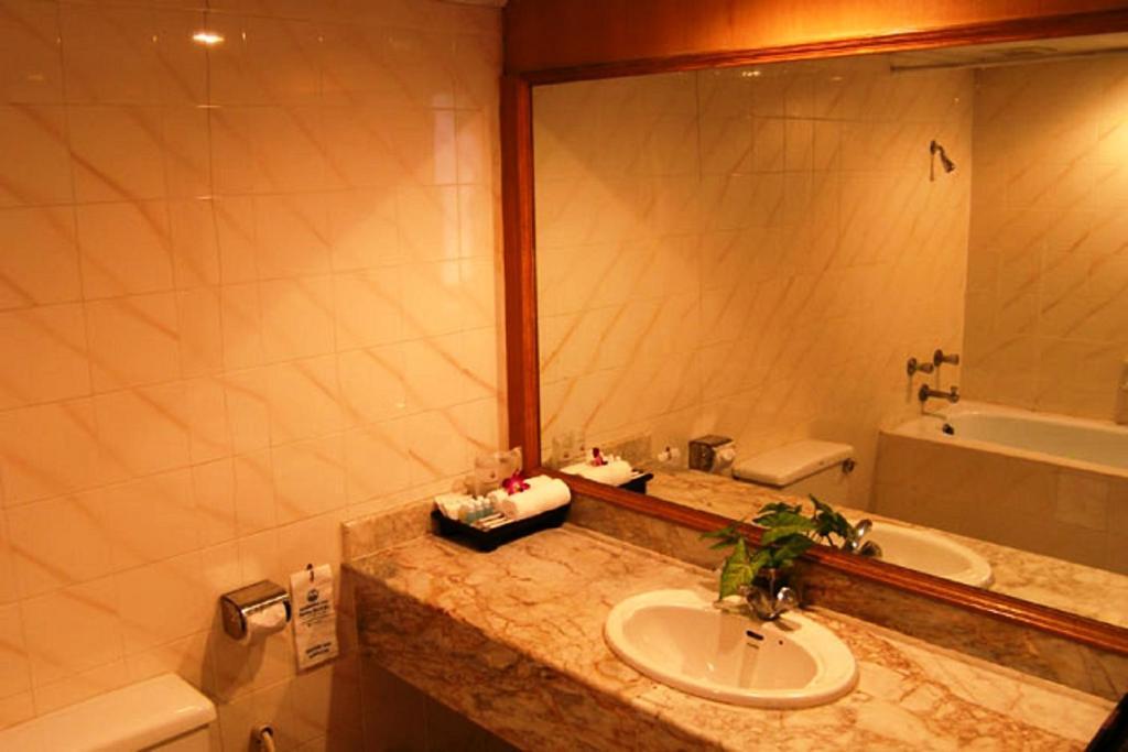 Deluxe Double or Twin Room Balcony,445304373:JPEG