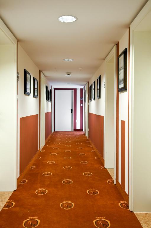 Superior Double Room,63161887:JPEG