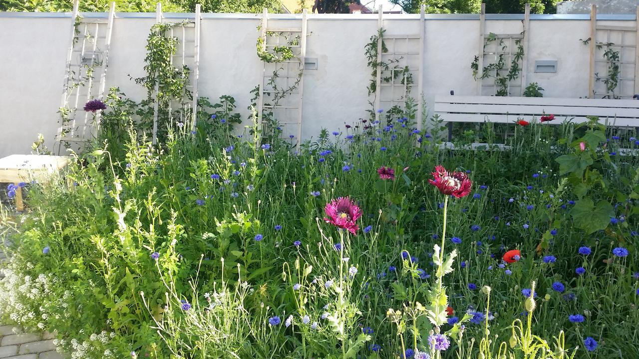 Bungalow Garden View