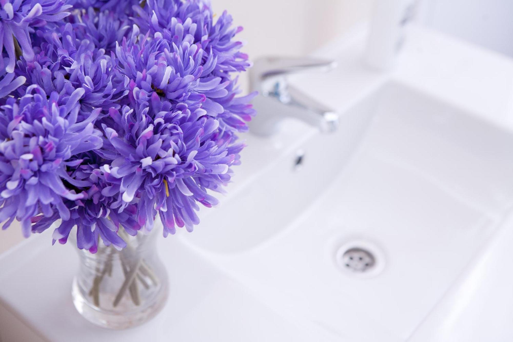 Triple Room,995089789:JPEG