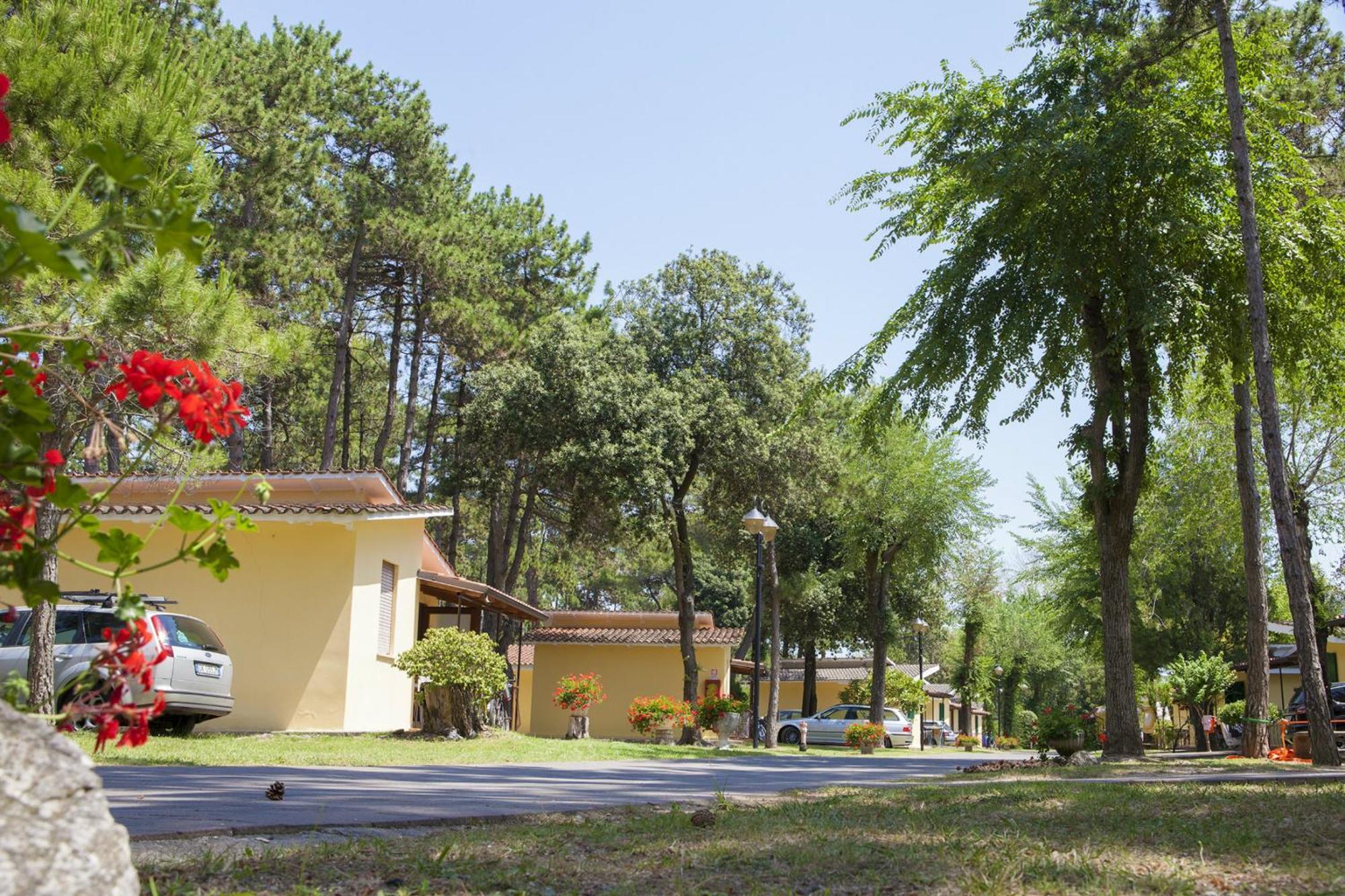 Two-Bedroom Villa (4 Adults),792092883:JPEG