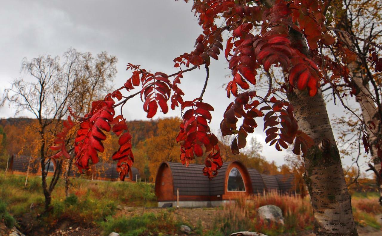 Cabin