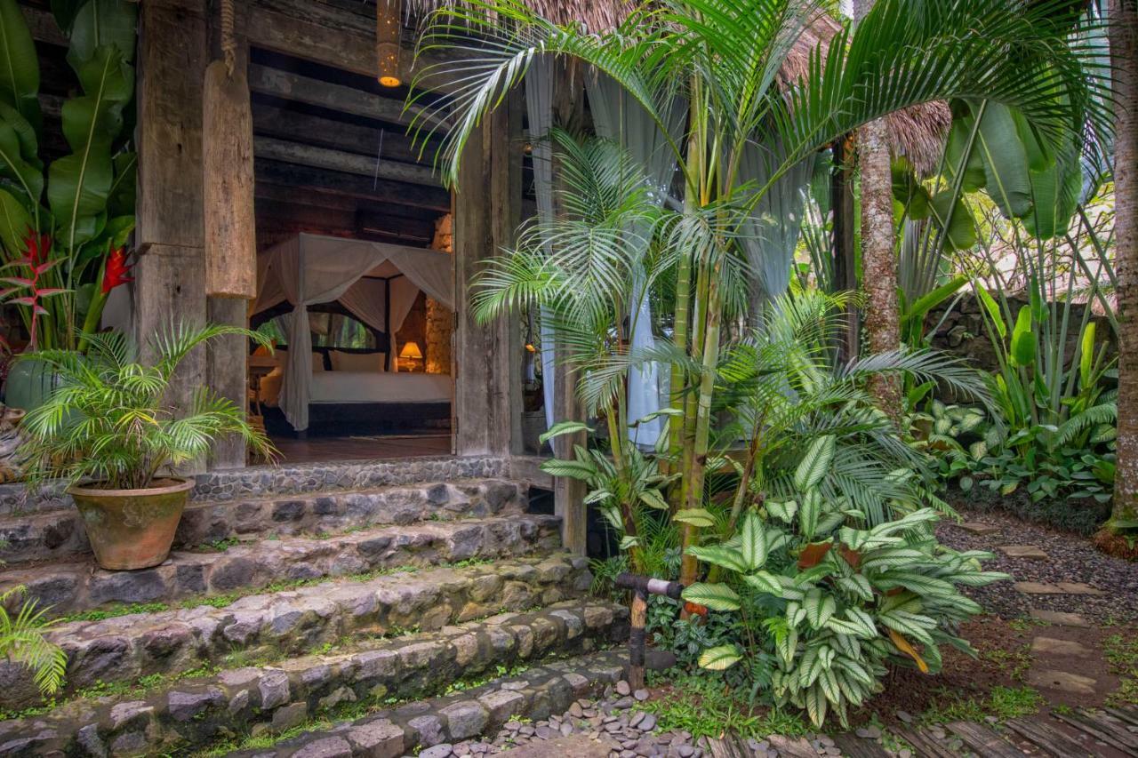 Java One- Bedroom  Suite with Pool View