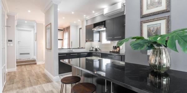 One Bedroom Penthouse with Rooftop