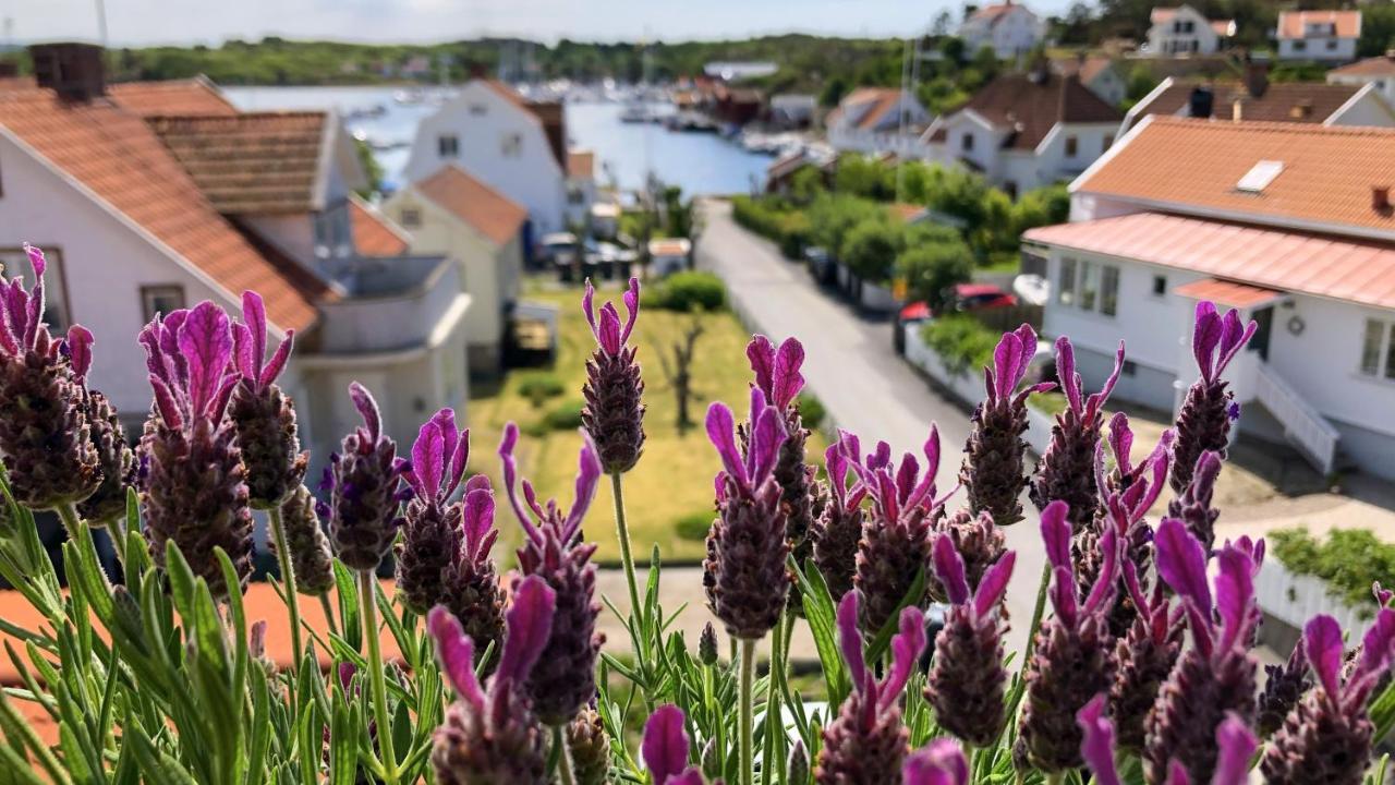 Deluxe Double Room with Balcony and Sea View,1387448852:JPEG