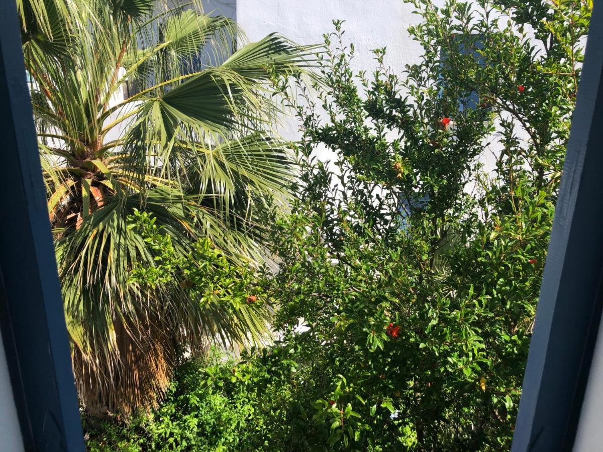 Standard Twin Room,999371040:JPEG