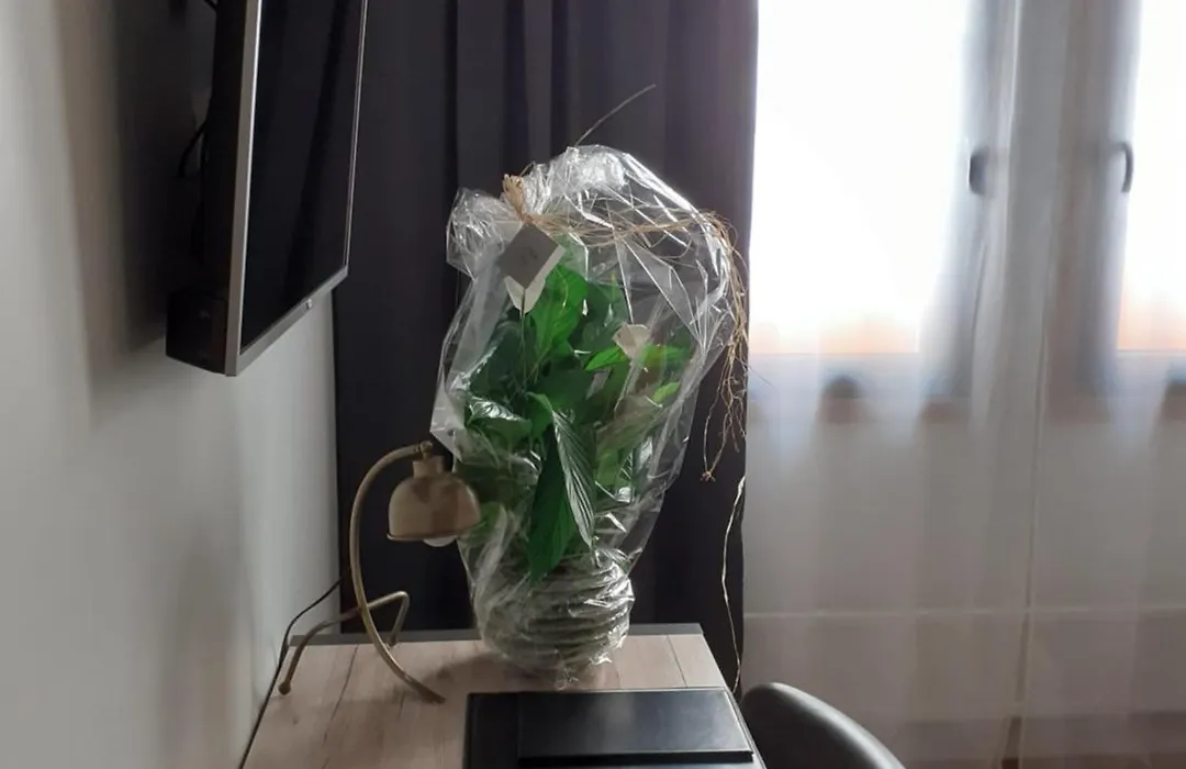 Hotell Greven-1