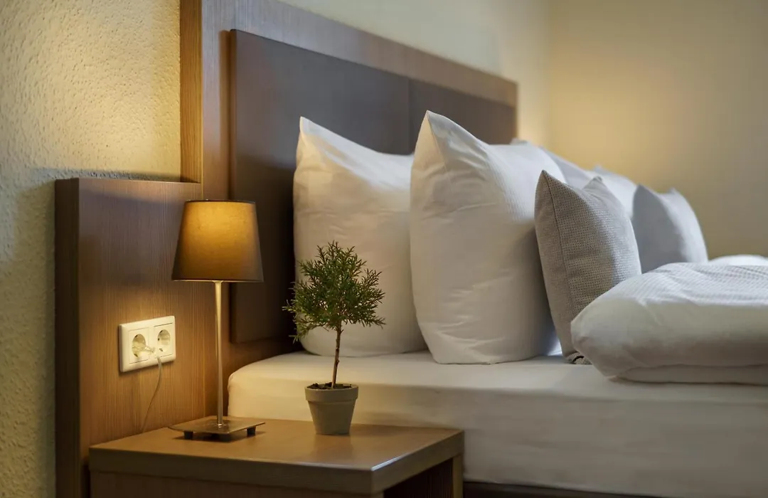 Hotel Alster-1