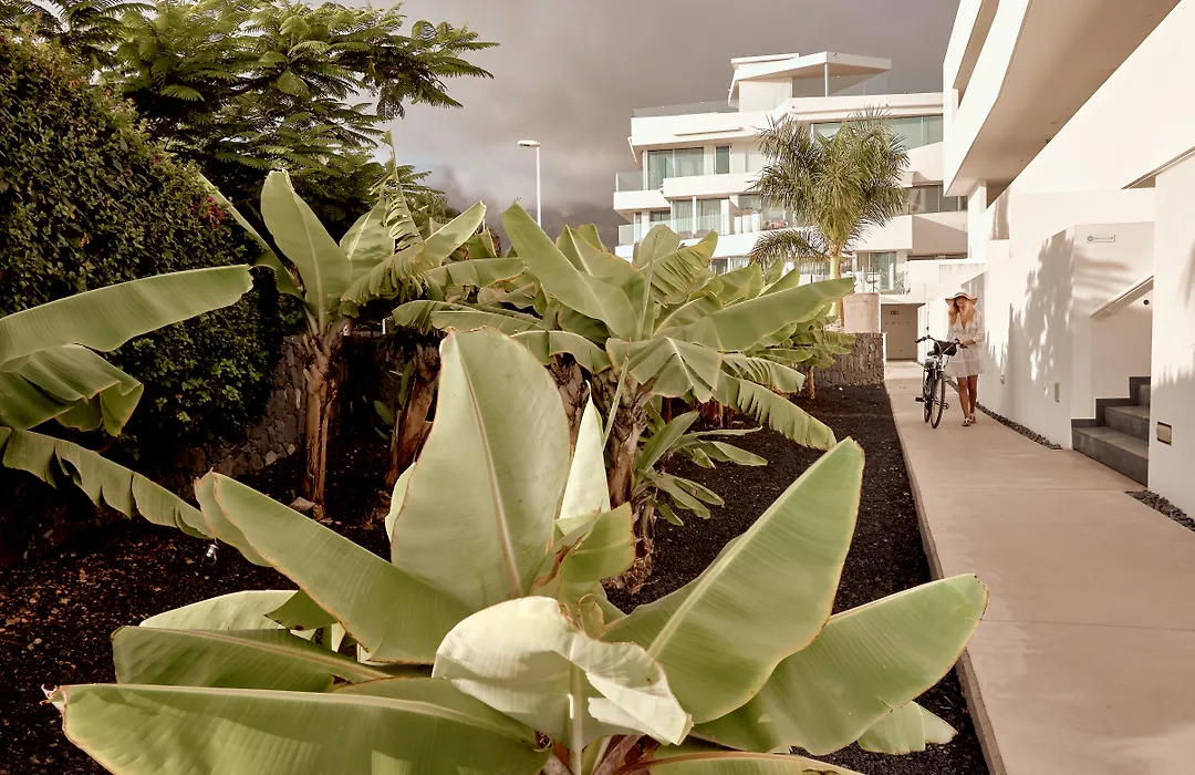 Domes Baobab Suites-1