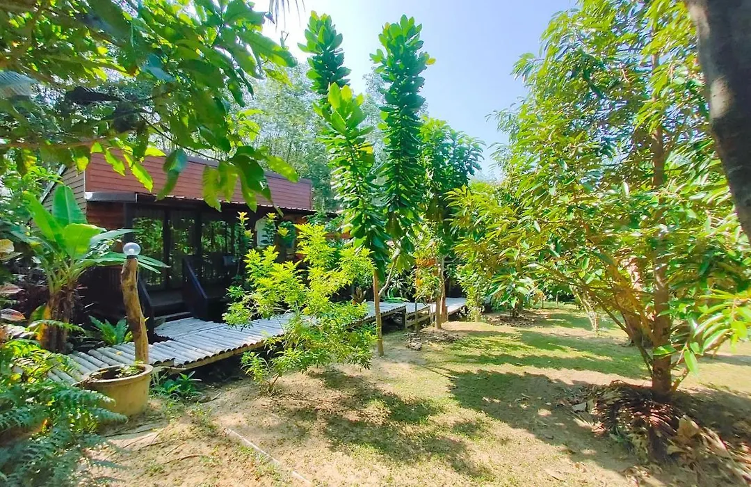 Kohmook Nurse House-1