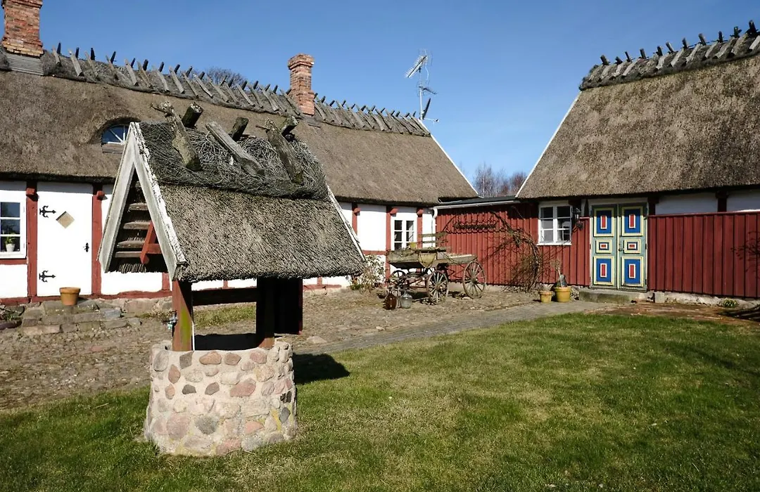 Vingården i Arild-1