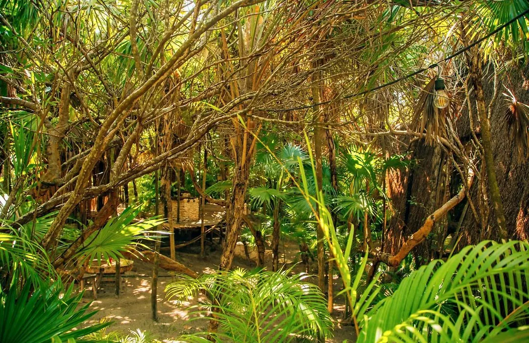 Ikal Tulum Hotel-1