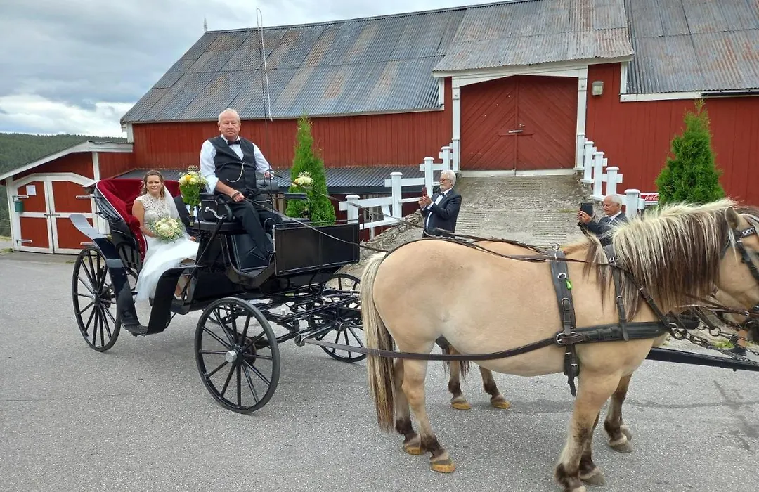 Hotell Eikerapen Gjestegård Åseral-1